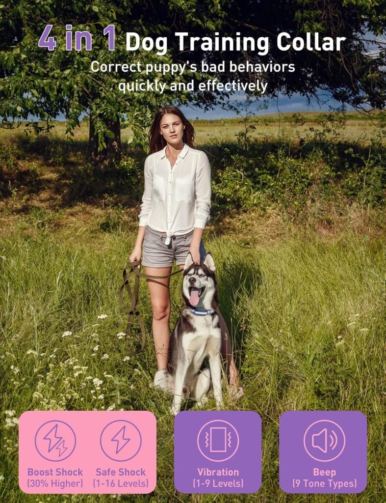 Dog Shock Collar Dogs (10-120lbs) - 3300Ft Dog Training Collar with Beep, Vibration  Shock, IPX7 Waterproof Rechargeable Dog Shock Collars for Small Medium Large Dogs, Security Lock, Purple