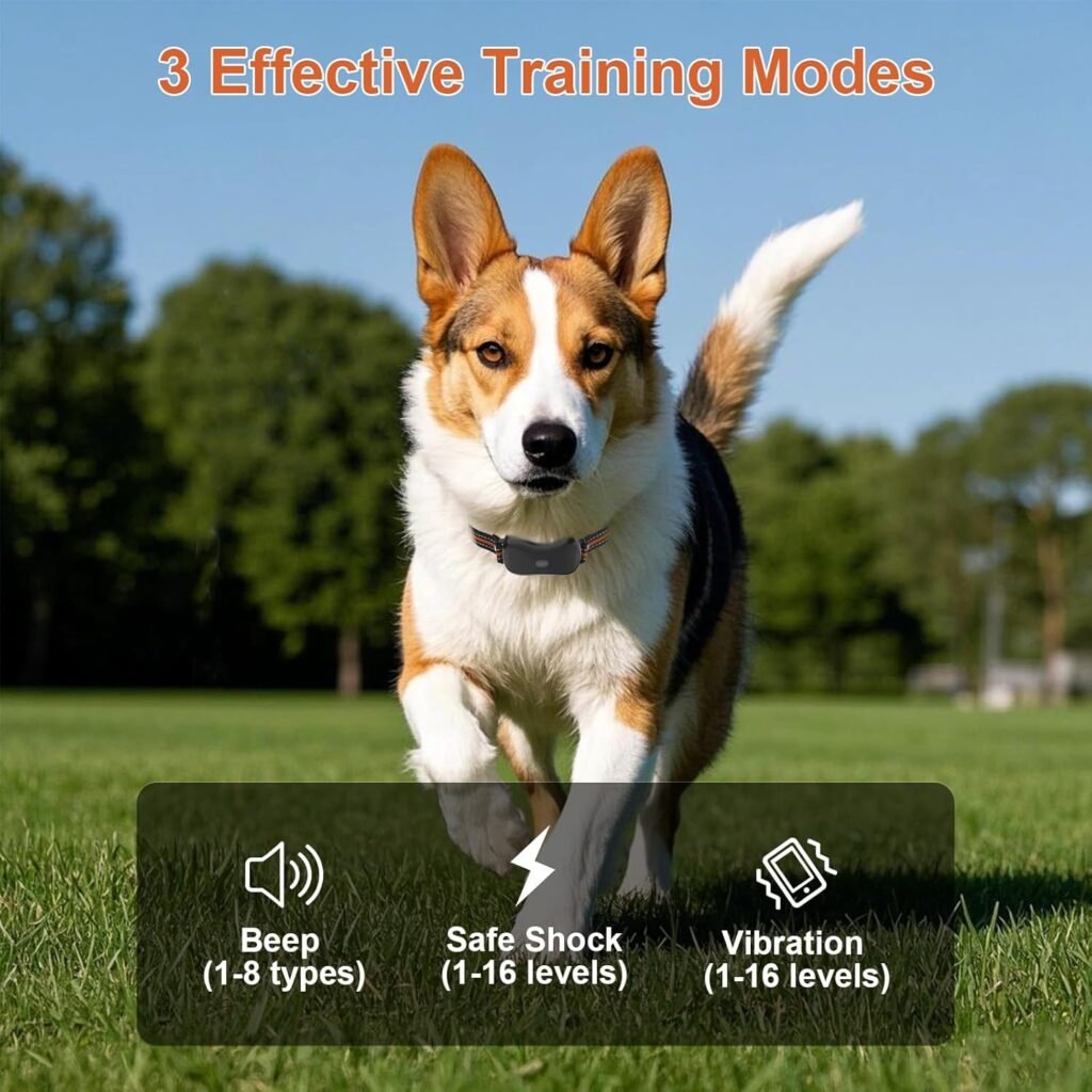 Dog Shock Collar with Remote Control Color Screen - FT Remote Range, Dog Training Collar with Training Modes, Rechargeable Waterproof E-Collar for Dogs 15-125LBS (Orange, Pack)
