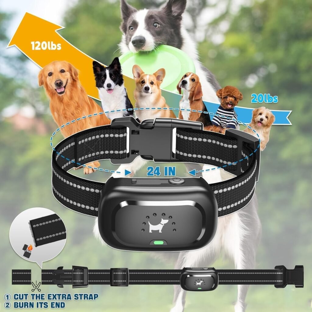Dog Shock Collar with Remote Control- Training Collar for Small Medium Large Dogs, Electric Collar for Dogs Training Rechargeable, E Collar with Beep, Vibration Shock-Lock Keypad