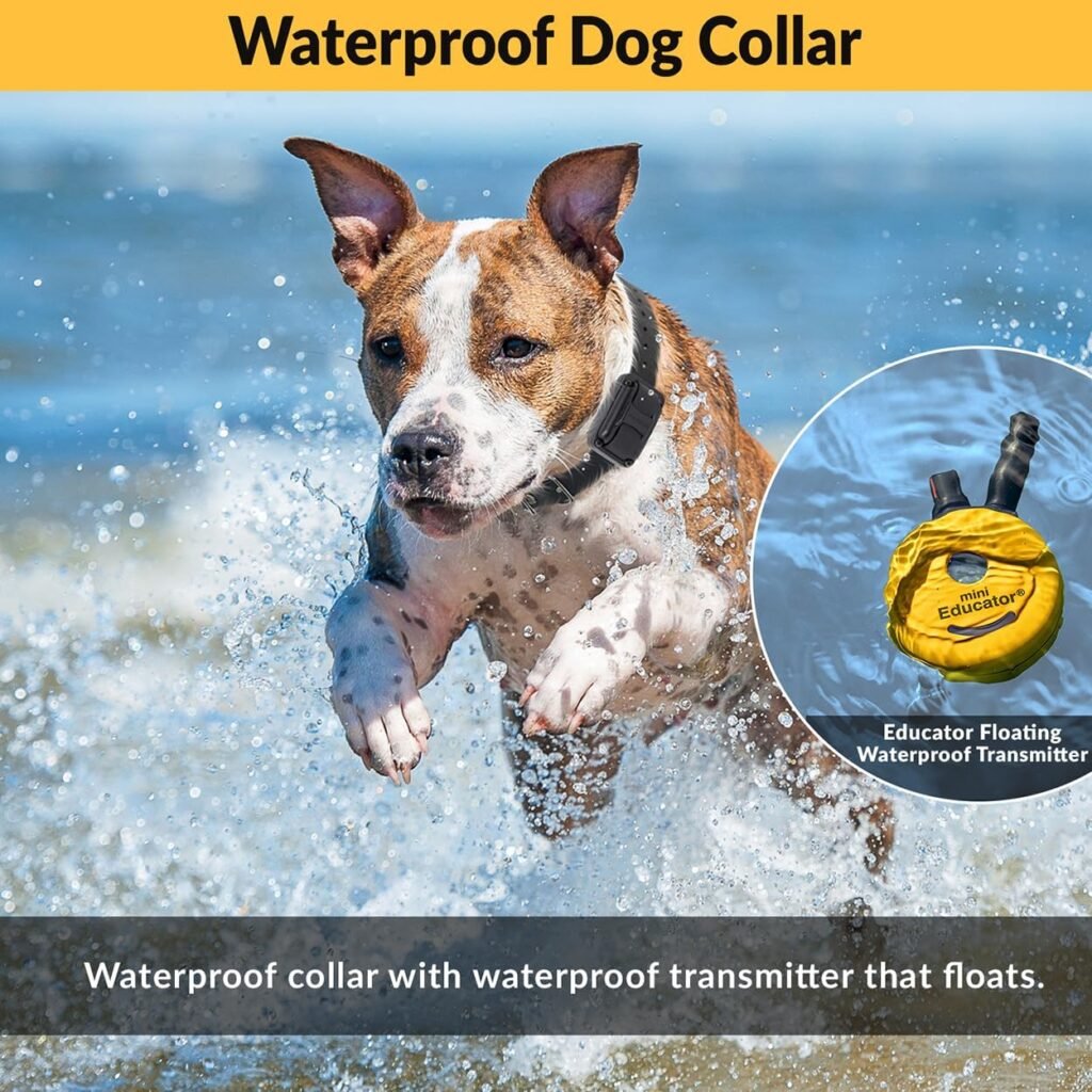 E-Collar ET-300 Mini Educator Remote Dog Training Collar –/2 Mile Waterproof, Premium Finger Clicker Trainer, Stimulation Levels + Vibration + Light + Sound – Dog Small to Medium, Yellow
