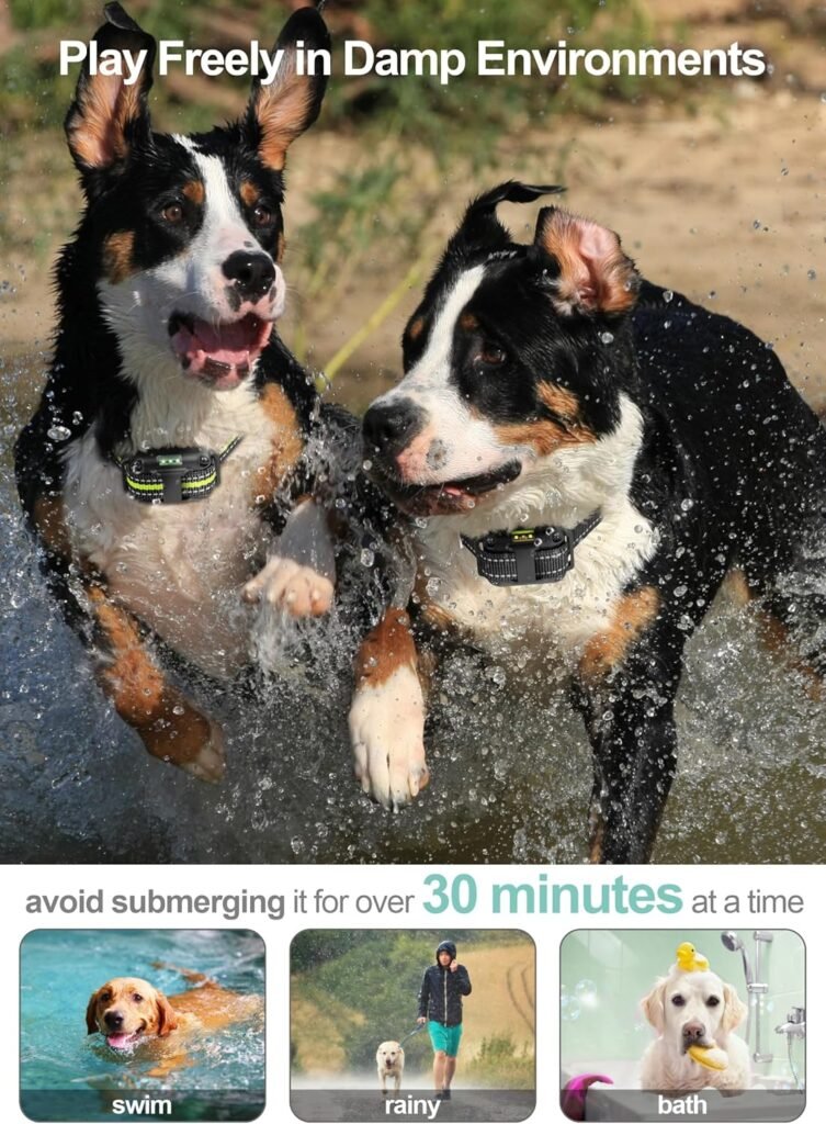 FunniPets Dog Shock Collar Pack - Dog Training Collar with Remote IP65 Waterproof E Collar for Dogs Training with Shock Vibrate Beep and Light Modes for Small Medium Large Dogs