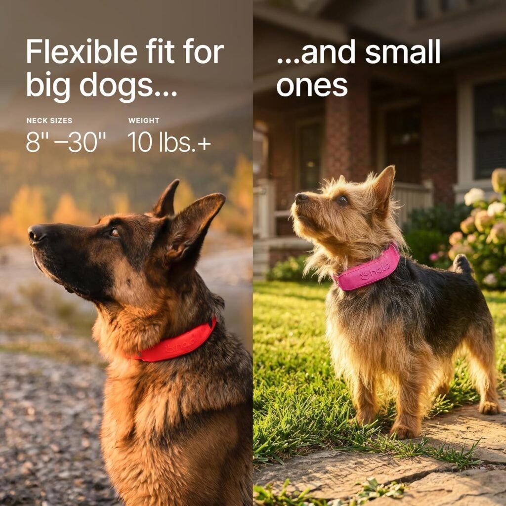 Halo Collar Wireless Dog Fence GPS Dog Collar, Keep Your Dog Safely Contained Outdoors with App-Controlled Boundaries and Real-Time Tracking, One Size, Midnight Halo Collar Wireless Dog Fence GPS Dog Collar, Keep Your Dog Safely Contained Outdoors with App-Controlled Boundaries and Real-Time Tracking, One Size, Midnight