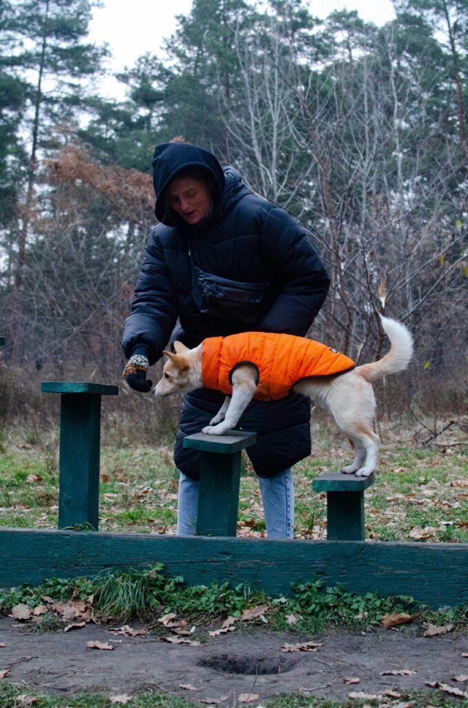 Is too old for dog training? Expert 7-Step Plan 2026
