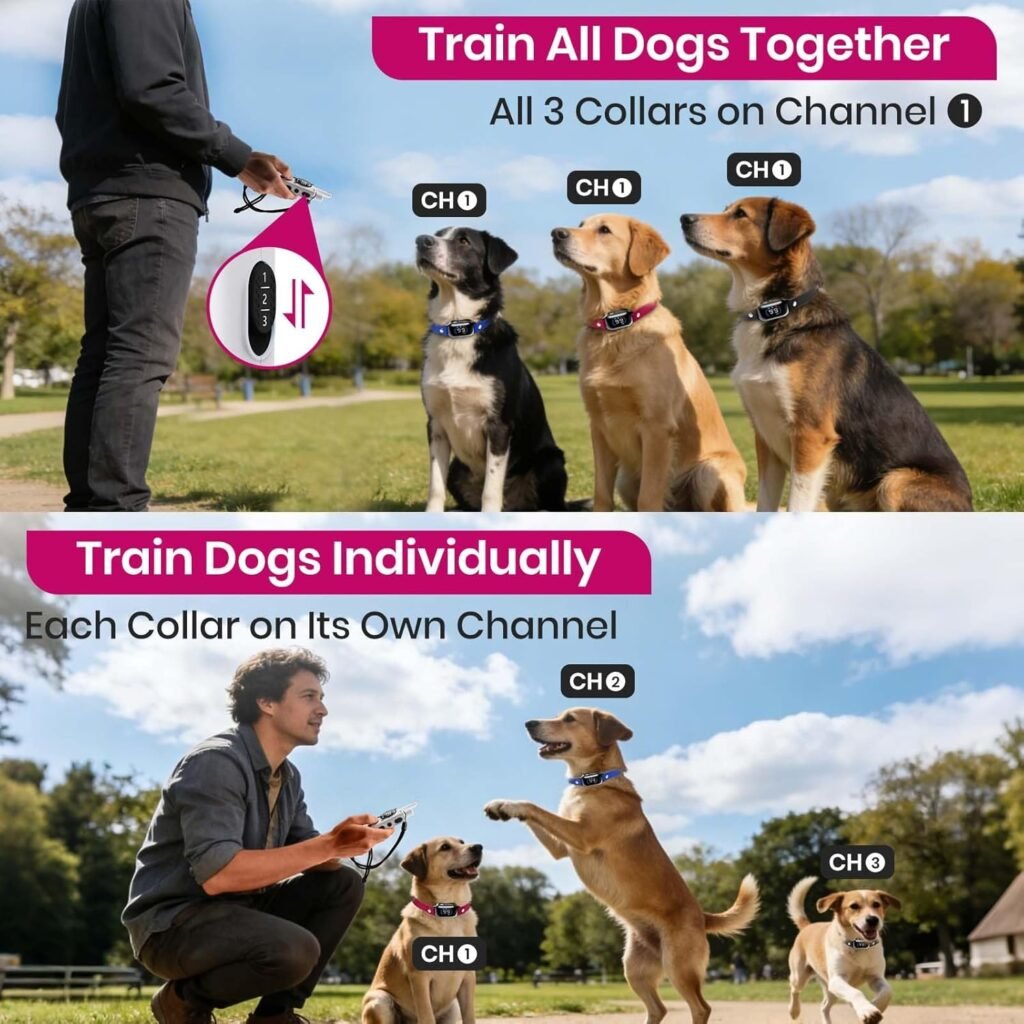 PetJoy 3-Dog Training Collars  Shock Collar for Dogs, with Lockable Shock - Shock Lock Mode Switches to Tone  Vibe Only, Includes Rechargeable Remote with 4000ft Range (9 Tones)