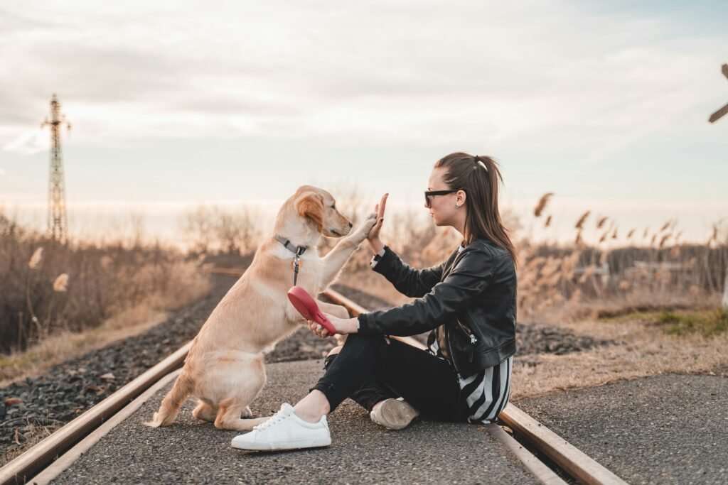 What are common dog training mistakes? Essential Tips