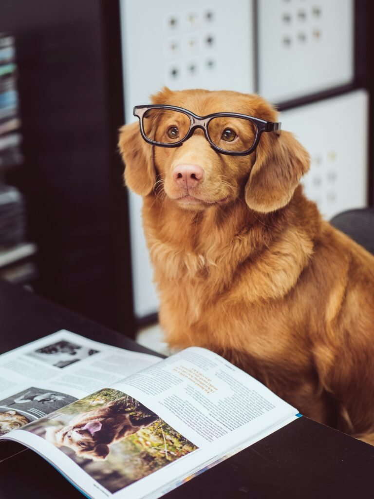 Whats the best age to train a dog? Expert Tips (2026 Guide) Whats the best age to train a dog? Expert Tips (2026 Guide)