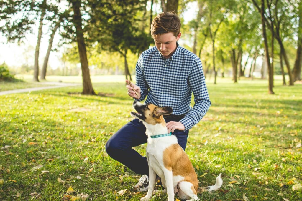 Whats the easiest trick to teach a dog? Proven Steps Whats the easiest trick to teach a dog? Proven Steps